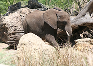 2019-07-24/a2e42919ba7b61fa01b891ed856e3d61_ceb845731d05c887698bdd278da57095