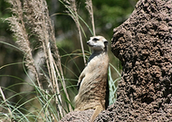 2019-07-24/e81c5c2e993c53ec03e079509dc9a48e_2f74d5f03a0e51bc97ba211157bb3033