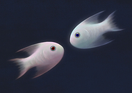 2019-07-25/101e39e5400b8c5a89bd382089ec134a_2ca5fcc5af5ff54a523b3465e02825ad