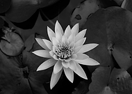 2019-07-25/56d4826f9cd53e64c0ad803120dbbbaa_6564455bed618211d72cf0cc4056ac36