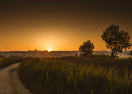 2019-07-25/bc614f8be20ce520d85a34229c189c14_c2b33f4195daa736d2f9ee8d2d23293a