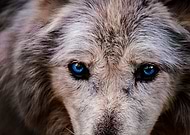 2019-07-26/5c22afc2670238784d72d7c0c54bf1b9_dfafc4d79308694802a902fb0ed4f7be