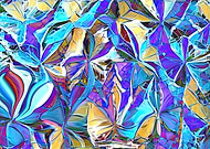 2019-07-26/a2cc83596c442b102b82bb805e75168e_46133361f508e3f0a8ee47023abed948