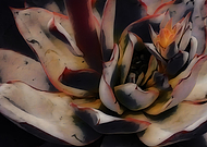 2019-07-27/3519ff13f1d3a2906e538c1ee6338578_b90665f89342b45487cf4ad6a6199e4d