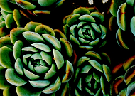 2019-07-27/3f9b8d540d5e2104b5189bf97371bf79_a4c662565c64d08862d3bc30050c2598