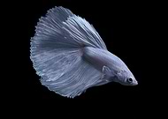 2019-07-27/445740a474d9b3be26527cfadc0b3a53_ed48d77bf88211c42392482bf95bfd9a