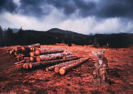 2019-07-29/c790a9ce09951556ceedfb443e5414e6_8e22a8fba2e42d0f9c87e2dc9c0e9958