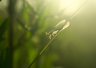 2019-07-30/2e19bf9e6484d2da4743c50c1abdc83e_9d508b29d32681ac46cf588cbff42ed3