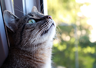 2019-07-30/a2030a984e3c4d7ac96d36e785ba52bd_5b10c0d91613a8236f1b5fbdfa6a2a50