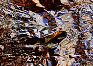 2019-07-31/38c227acd5de4df0a9311c654e860b56_375c5b76ff4028126e62e0e6464deb4e