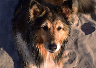 2019-07-31/8469024bcf8c5de390831499b3b46559_0ca0cc9715d4ad81b945fee7b2bad9e6