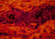 2019-08-01/582fa1cc531131bbaababdb55daf81aa_4db08bb363bf1e83042e071a408b7076