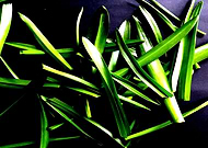 2019-08-01/ea2f8b46aa1f76b7b1eab04a81ec7aa9_f0eccbc19679b0208f8d2b19ca455028