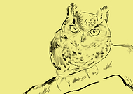 2019-08-02/50f0d04a08d7383348c4b75da38fa133_66ffc8be7f607268efd1d6906637ec02