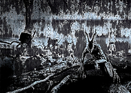 2019-08-02/bcb5cca64482e78ba3a4b1d161e29262_295012ad8653ecc078366112b8fca301