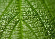 2019-08-03/cc9cd61c12daeb261ae474b1b949d9f1_1de6416cd0911e4a82da245aec59c1fe