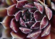 2019-08-03/e84e8c7bd84f492296b408232a0c67dd_bda63e501bb5b143c43621ac19ac08be