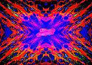 2019-08-05/37ac736a9a16695b1466c5933123292e_2b000ea2de9bd9be0c8389a40968f9e5