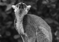 2019-08-06/14d80b7e7c297f9c4ed573502fa7cbe2_6c06b82f1154fb2f04e54ea5bac2dec3