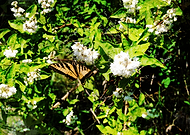 2019-08-06/1d936b07f00a401c25a97b6f390fd545_87b0f1614e9bded11f4bcafb8ef3bbae