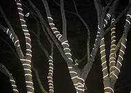 2019-08-06/3745e5ad57f13dd814e83268d1d42573_02d761243dc4108c908ef053dbbc091f