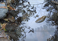 2019-08-06/a3b122ab1bd3025aac859fef427f0f15_8d689ebea38f16abe2f794519995578f