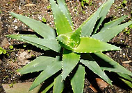 2019-08-07/2c90a0698cf62044ca8e5c89d5c3f890_8e00cc5e7c247d5b0a537e81570118db