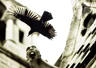 2019-08-07/38cc4b5e1eb37f45703d0493a0642aa4_6da7bdc5311987bbd61cf0f522afee1b