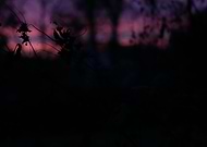 2019-08-07/436eb88dc921a42daea50715bc6e0944_19fb61f7cbc05089edaa370121207ee9