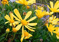 2019-08-07/a8c1349d85b0ae7a905847d5c1017f88_92ee6bb0abe365456a19da6f4a734e9c