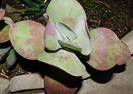 2019-08-07/f009be1d0dc4f1aeeb4bcdd866d7fcb6_8cc7e25cb9b7e8bd4dc2c638d9c4f599