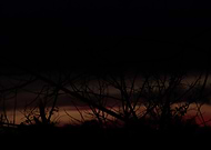 2019-08-07/f9385920d2a92cbe0c4fffb6a4fcb515_de97bcb7d73aea84b4dd4df96521600b