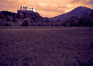 2019-08-10/337da84353b5279a962e9a164a9fd6bc_bec798054a8137784f896e50fc0466a7