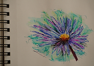 2019-08-11/559fdf3d5b655af8bede6bc1c0498c4a_205a4e54797f4602f931535b68d4e15e