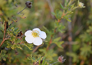 2019-08-11/7b14b1fdba91bf59c9082ea907b9920b_8471ad0dc616e50381f3f718e64d3c30