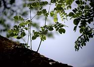 2019-08-11/db0e45ccb5afa157a190ebc121607aa1_b8eb8b597b4450683f83fc1574024ee9