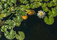 2019-08-12/3755af144ac5633bee3f3cf642bcf663_688637124621fcac3a99eb43ce5524ce