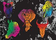 2019-08-12/b934fa64cba96d612061885dd1f131c9_df7291354f0392cbff1e35c1e8542c1a