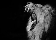 2019-08-12/f5f77a6bae370ac717e06351142ceaa3_62eb9454b44d3e9587b4bbbd658fa7c7