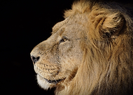 2019-08-12/f8fb01c6255609a9b8fa5a231ab883ff_32cb45675665283c545037fc99dad296