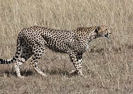 2019-08-13/1f3249be947443a091f7ebe545130285_86f0a5d704de90d0fc38baef182bd615