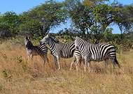 2019-08-13/a95a67281209112a03d25c38ee66a903_66e75620169ae43f3d1605516fb88ef6