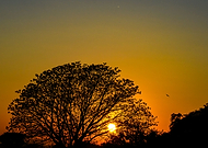 2019-08-14/17f59a718d222cfe810e869fa83eddb3_d9400e6313246ea8c0a6808830618072