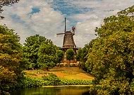 2019-08-14/3750cd573ac03a13753bab869bf9e1ed_1b35f4fdf3e5d7e5307036328efe9f96