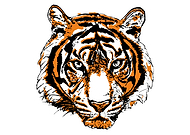 2019-08-14/5f8d21a1f4f075e27bd80470074d8994_2196d294934f32dd328c1a792342be6e