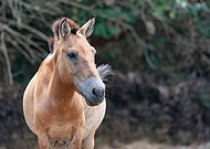 2019-08-15/873364fcefac0fd56a6566aaa578b1b3_d9cee88fa61adc47ef659da1ea3cd332