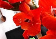 2019-08-15/f4be5b22666d5ee1b9a03c0594ff9592_d88351ff781a84f6d2d7ee810fa25608