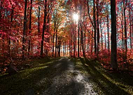 2019-08-16/50c79975caad4d5b67362221fda98208_0cd932d3de31a3a1d21c9c1044818468