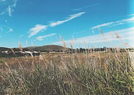 2019-08-17/1aee0137bfbf24c43d2351f02784423d_7a27ff553e20e2331a44b15db749b47b