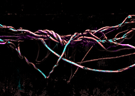 2019-08-17/ab8d85c9aa0208ad2bd2f3052b91cdec_fd30a983eaf0fd91fce30849d3bb0e10